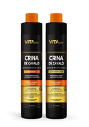 kit shampoo condicionador crina de cavalo 1L